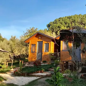 bujtina-musta.albaniahotels.org/